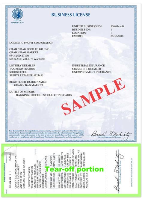 Fake Business License Template